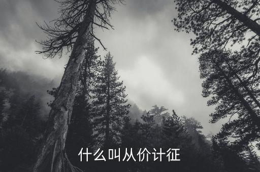 什么叫從價(jià)計(jì)征