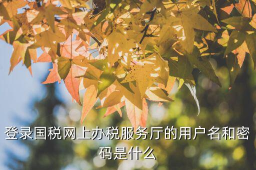 江蘇國稅電子稅務局登錄用戶名是什么，江蘇國稅網(wǎng)上辦稅服務廳的用戶名是什么