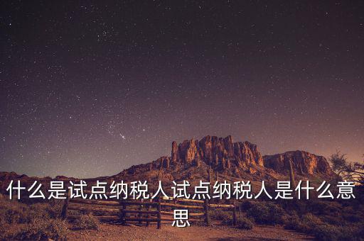 什么是試點(diǎn)納稅人試點(diǎn)納稅人是什么意思