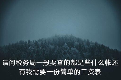 請(qǐng)問稅務(wù)局一般要查的都是些什么帳還有我需要一份簡(jiǎn)單的工資表