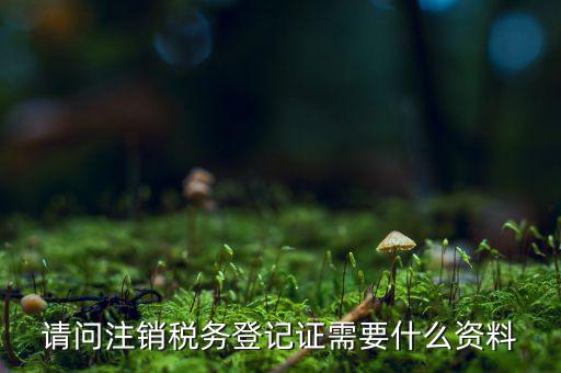 請(qǐng)問注銷稅務(wù)登記證需要什么資料