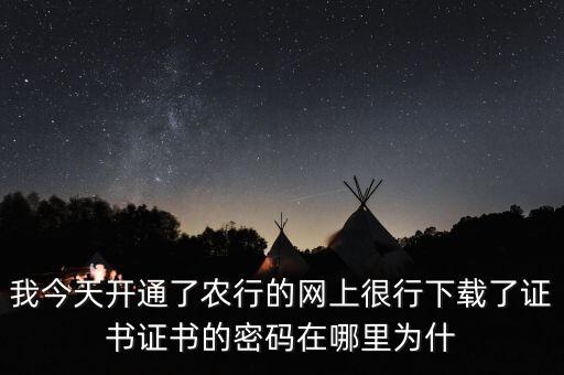 我今天開通了農(nóng)行的網(wǎng)上很行下載了證書證書的密碼在哪里為什