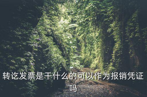 什么叫轉(zhuǎn)發(fā)票，我開(kāi)了一張農(nóng)村合作信用社的轉(zhuǎn)賬發(fā)票請(qǐng)問(wèn)什么是對(duì)應(yīng)發(fā)票