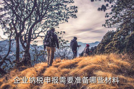 企業(yè)納稅申報需要準(zhǔn)備哪些材料