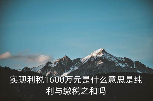 實時繳稅是什么意思，實時扣稅務(wù)請求3001什么意思