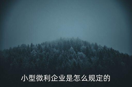 小型微利企業(yè)是怎么規(guī)定的