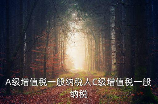 b級(jí)納稅人是什么意思，A級(jí)增值稅一般納稅人C級(jí)增值稅一般納稅