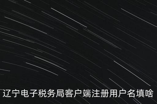 網(wǎng)上辦稅帳號是什么，登錄國稅網(wǎng)上辦稅服務(wù)廳的用戶名和密碼是什么