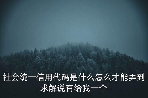 社會(huì)統(tǒng)一信用代碼是什么怎么才能弄到求解說有給我一個(gè)