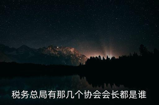 稅務(wù)總局有那幾個(gè)協(xié)會(huì)會(huì)長(zhǎng)都是誰(shuí)