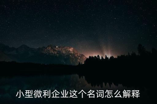 微利成公司是什么意思，小型微利企業(yè)這個(gè)名詞怎么解釋