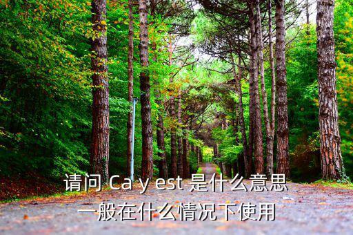 ca棒有什么作用是什么意思，CA的全稱是什么它的具體作用是什么