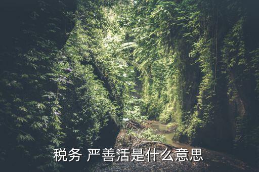 中國稅務(wù)精神是什么意思，稅務(wù)是什么意思啊學什么內(nèi)容