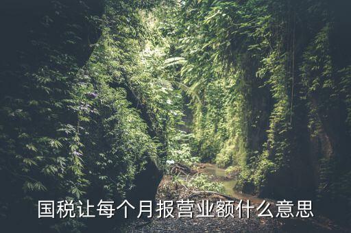 國(guó)稅每月報(bào)稅的是什么意思，請(qǐng)問(wèn)每月抄稅和報(bào)稅各是什么意思