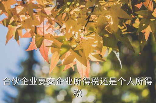 合伙企業(yè)交什么稅嗎，合伙企業(yè)要交企業(yè)所得稅嗎