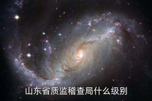 稽查局什么級(jí)別，山東省質(zhì)監(jiān)稽查局什么級(jí)別