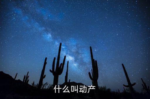 什么是動產(chǎn)登記表，什么叫動產(chǎn)