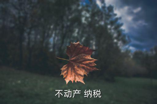 不動(dòng)產(chǎn) 納稅