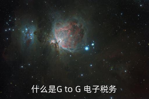 什么叫電子化辦稅，什么是G to G 電子稅務