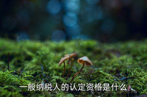 什么是一般納稅人資質(zhì)，一般納稅人的認(rèn)定資格是什么