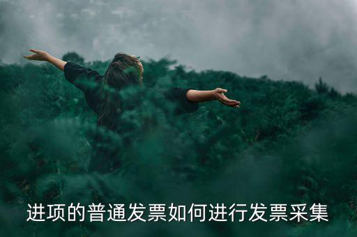 進項的普通發(fā)票如何進行發(fā)票采集