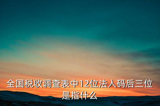 全國稅收調(diào)查表中12位法人碼后三位是指什么