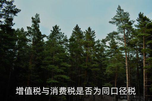 稅收可比口徑什么意思，稅收比重什么意思