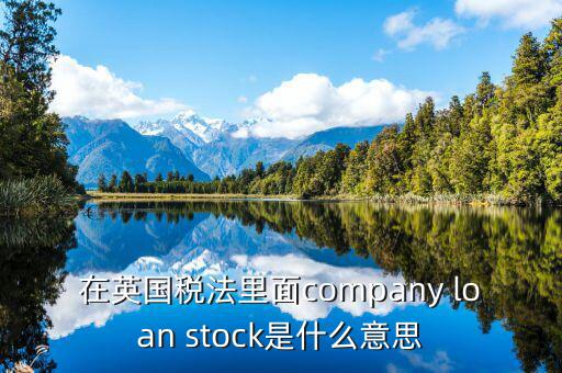 英國(guó)出國(guó)稅 是什么意思，在英國(guó)稅法里面company loan stock是什么意思