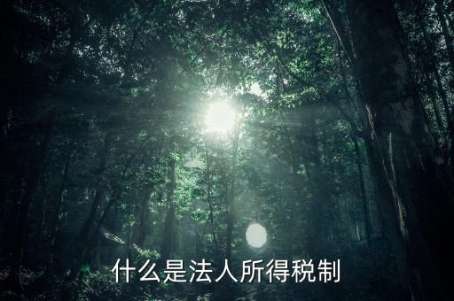 什么是法人企業(yè)所得稅，百度如何理解企業(yè)所得稅應(yīng)該稱之為法人所得稅