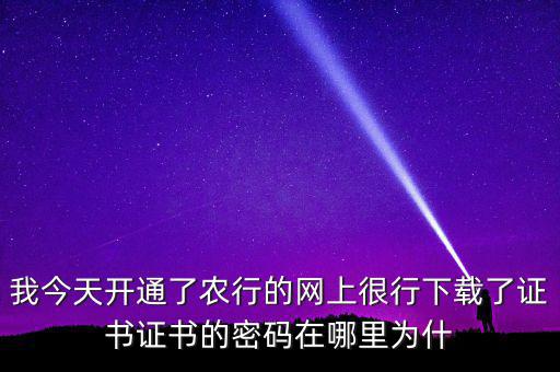 查看證書密碼是什么原因，我今天開通了農(nóng)行的網(wǎng)上很行下載了證書證書的密碼在哪里為什