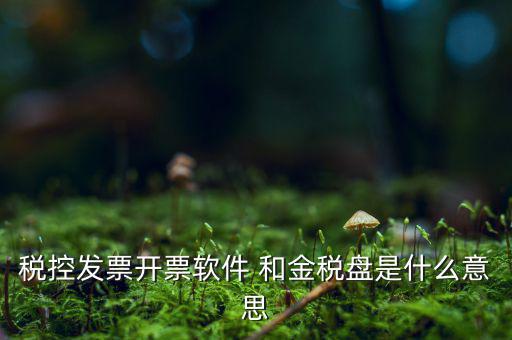 稅控系統(tǒng)指什么，稅控發(fā)票開票軟件 和金稅盤是什么意思