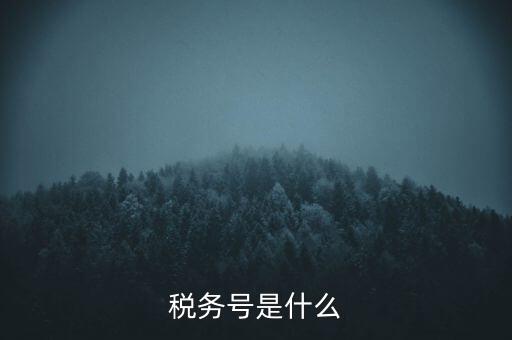 稅務(wù)號是什么