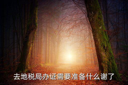 地稅局辦理什么，地稅局開發(fā)票需要辦什么手續(xù)