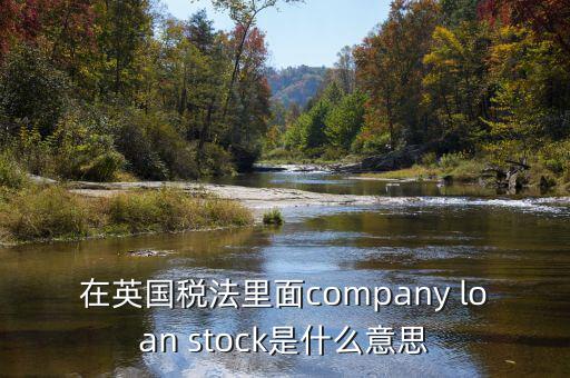 在英國(guó)稅法里面company loan stock是什么意思