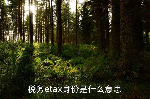 稅務(wù)信息化管理師是什么意思，稅務(wù)etax身份是什么意思