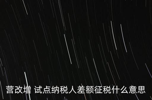 營改增 試點(diǎn)納稅人差額征稅什么意思