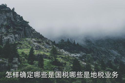 業(yè)務地稅是什么，地稅申報中業(yè)務種類是什么