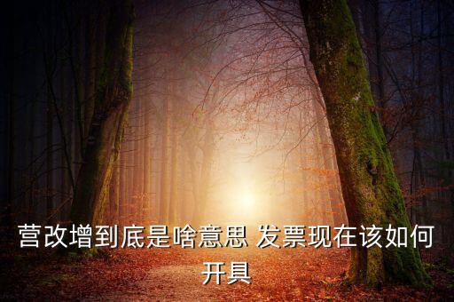 營(yíng)改增到底是啥意思 發(fā)票現(xiàn)在該如何開(kāi)具