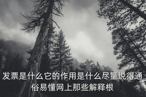 在線發(fā)票是什么意思，電子發(fā)票號碼是什么意思