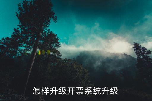 開票用什么軟件升級，怎樣升級開票系統(tǒng)升級