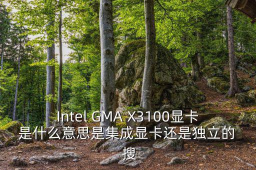 Intel GMA X3100顯卡 是什么意思是集成顯卡還是獨(dú)立的  搜