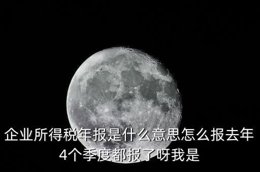 企業(yè)所得稅年報是什么意思怎么報去年4個季度都報了呀我是