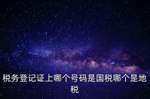 國稅地稅登記號是什么，稅務登記證上哪個號碼是國稅哪個是地稅