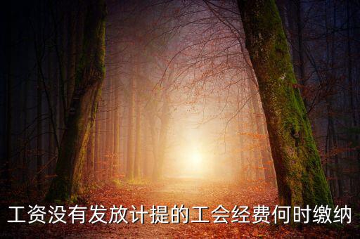 工會(huì)經(jīng)費(fèi)一般什么時(shí)候交，工資沒(méi)有發(fā)放計(jì)提的工會(huì)經(jīng)費(fèi)何時(shí)繳納