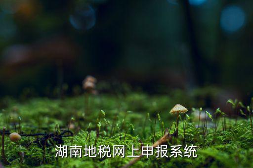 湖南省的地稅報稅軟件是什么，湖南地稅網(wǎng)上申報系統(tǒng)