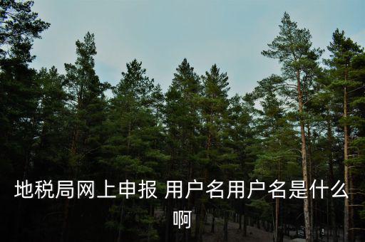 地稅局網(wǎng)上申報 用戶名用戶名是什么啊