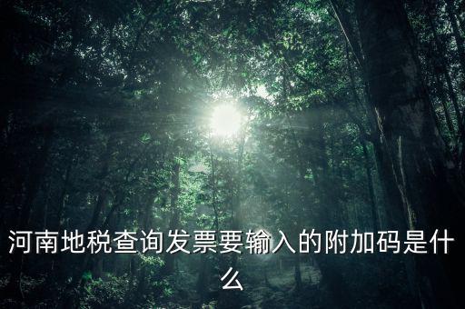 河南發(fā)票密碼是什么樣的，河南地稅查詢發(fā)票要輸入的附加碼是什么