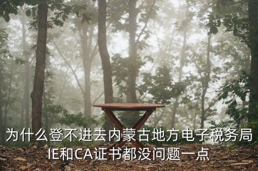 為什么登不進(jìn)去內(nèi)蒙古地方電子稅務(wù)局IE和CA證書都沒問題一點