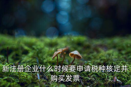 新注冊(cè)企業(yè)什么時(shí)候要申請(qǐng)稅種核定并購(gòu)買(mǎi)發(fā)票