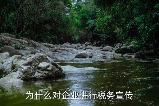 為什么要稅法宣傳，口語(yǔ)交際為什么要依法納稅不納稅有什么危害你怎么做一個(gè)稅法宣